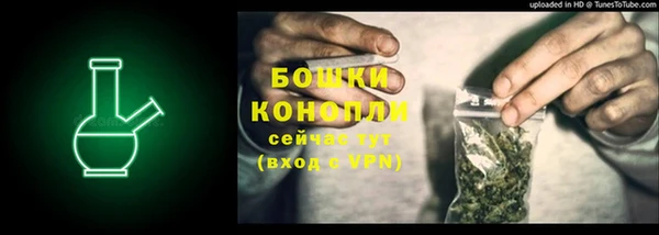 стафф Кулебаки